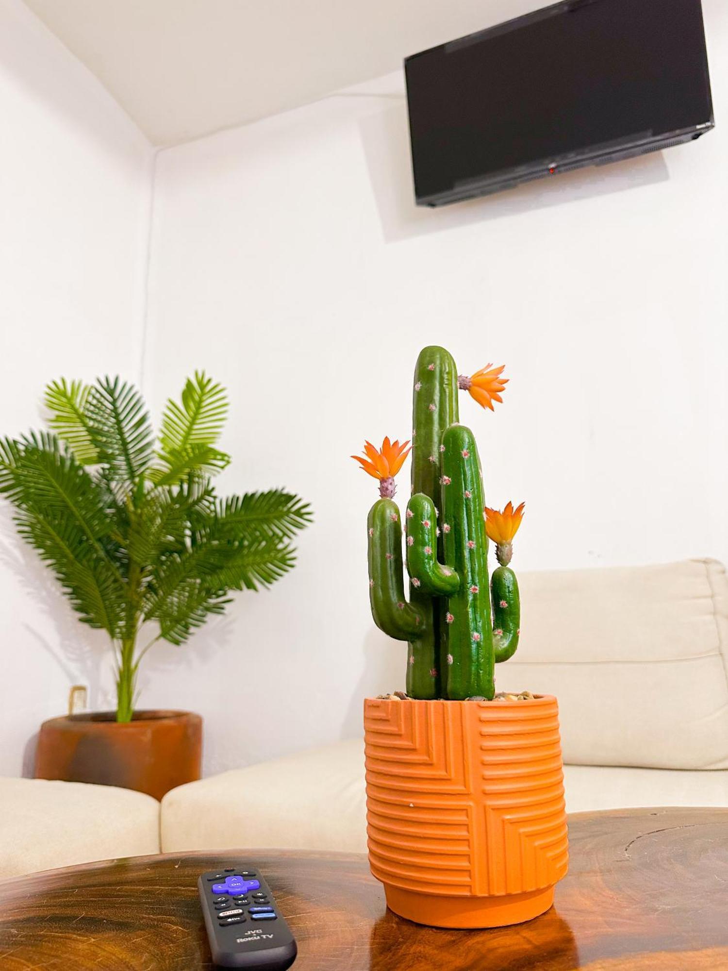 Habitaciones Hvuz, Centro Oaxaca ภายนอก รูปภาพ