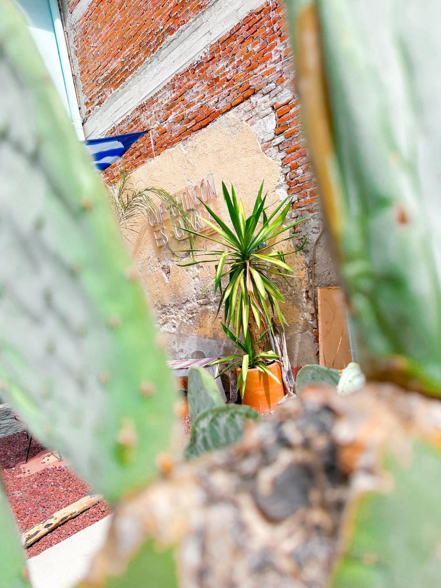Habitaciones Hvuz, Centro Oaxaca ภายนอก รูปภาพ